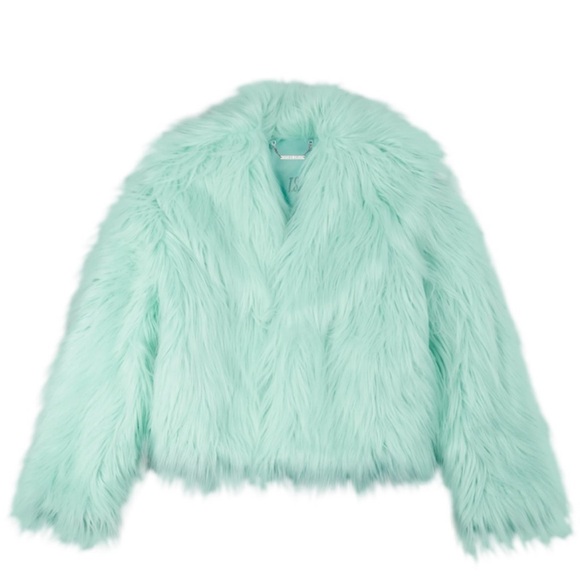 Taylor Swift Jackets & Blazers - Taylor Swift Mint Faux Fur Jacket